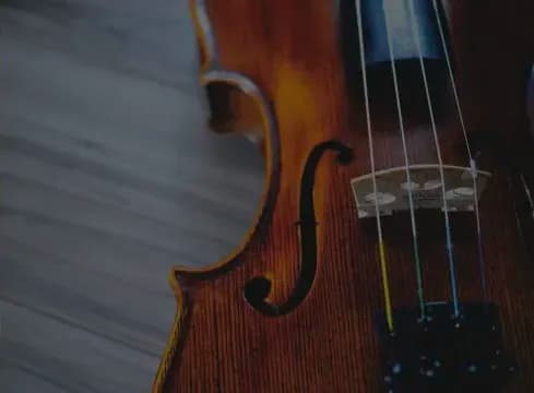 close-up of a violin